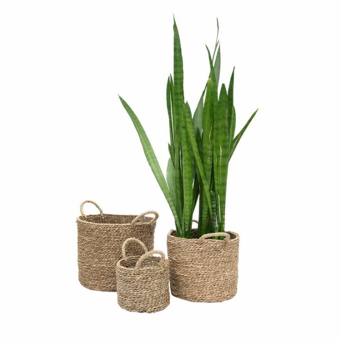 Baskets & Pot Bags | Canyon Basket Baskets & Pot Bags Baskets & Pot Bags