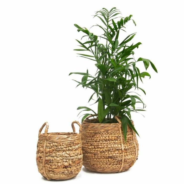 Baskets & Pot Bags | Haiti Basket Natural Baskets & Pot Bags Baskets & Pot Bags