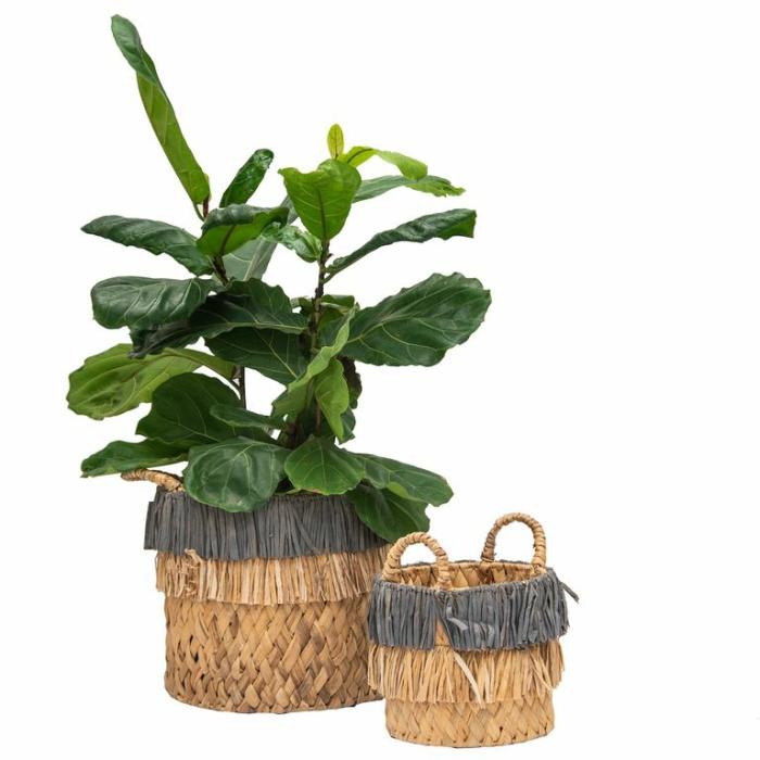 Baskets & Pot Bags | Portofino Planter Basket Baskets & Pot Bags Baskets & Pot Bags