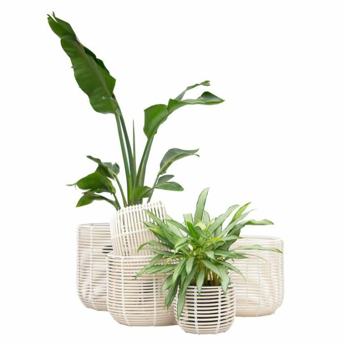 Baskets & Pot Bags | Sandy Dune Basket Baskets & Pot Bags Baskets & Pot Bags