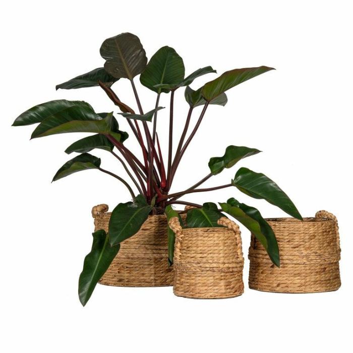 Baskets & Pot Bags | Tahki Planter Basket Baskets & Pot Bags Baskets & Pot Bags