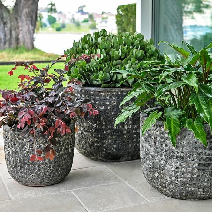 Feature Pots & Urns | Tarraco Bowl Feature Pots & Urns Feature Pots & Urns