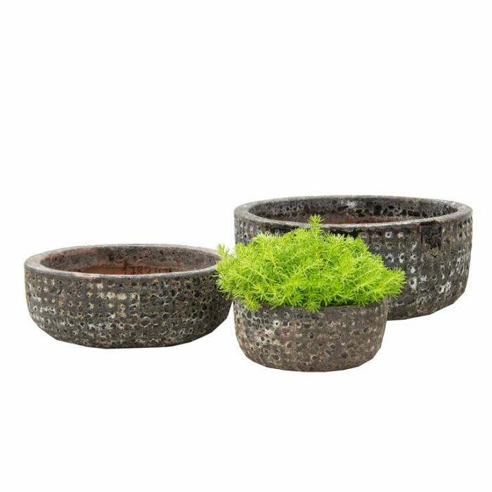 Feature Pots & Urns | Tarraco Low Bowl Feature Pots & Urns Feature Pots & Urns