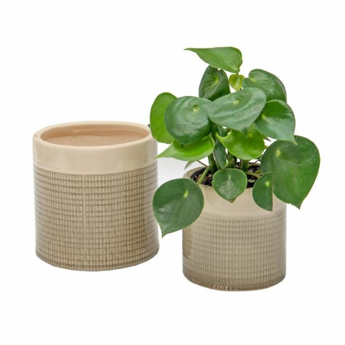 Indoor Pots | Abel Planter Sage Indoor Pots Dark Green