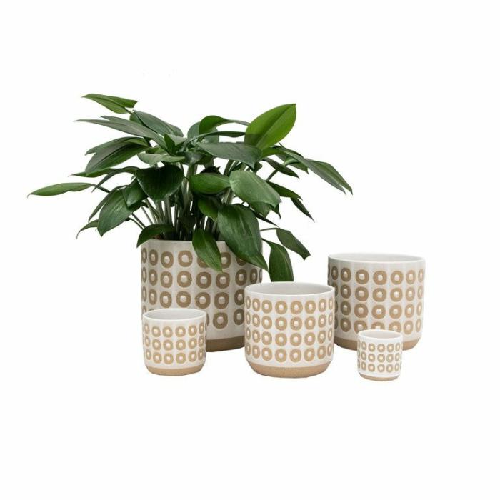 Indoor Pots | Alberta Planter Indoor Pots Indoor Pots