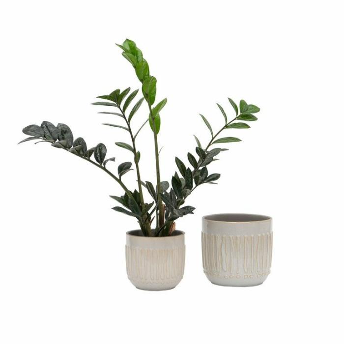 Indoor Pots | Alma Planter Indoor Pots Indoor Pots