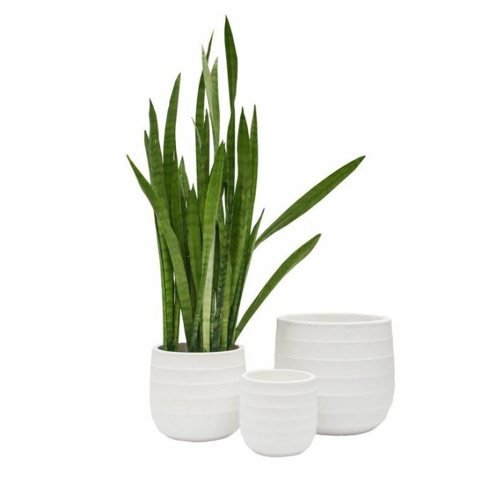 Indoor Pots | Alpine Planter Indoor Pots Indoor Pots