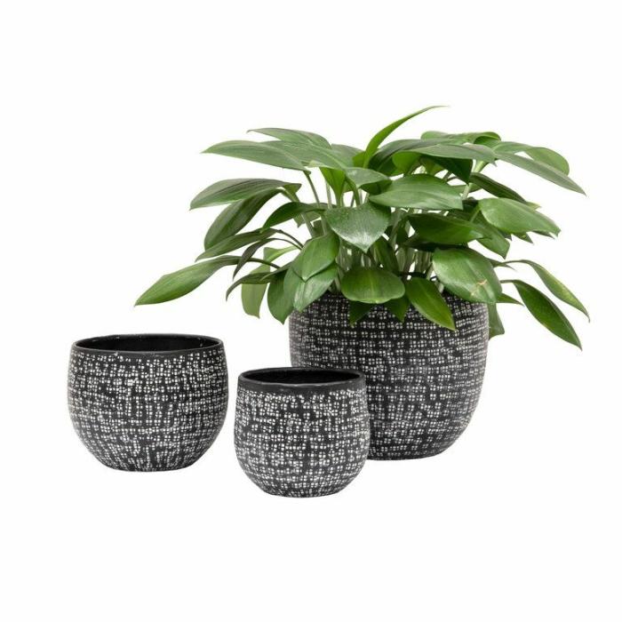 Indoor Pots | Amira Aluminium Planter Indoor Pots Black