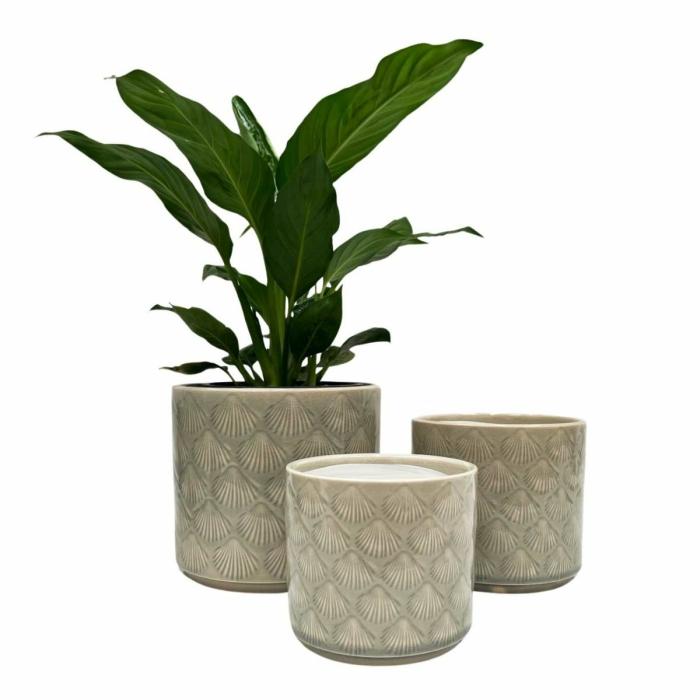 Indoor Pots | Ariel Planter Grey Indoor Pots Indoor Pots