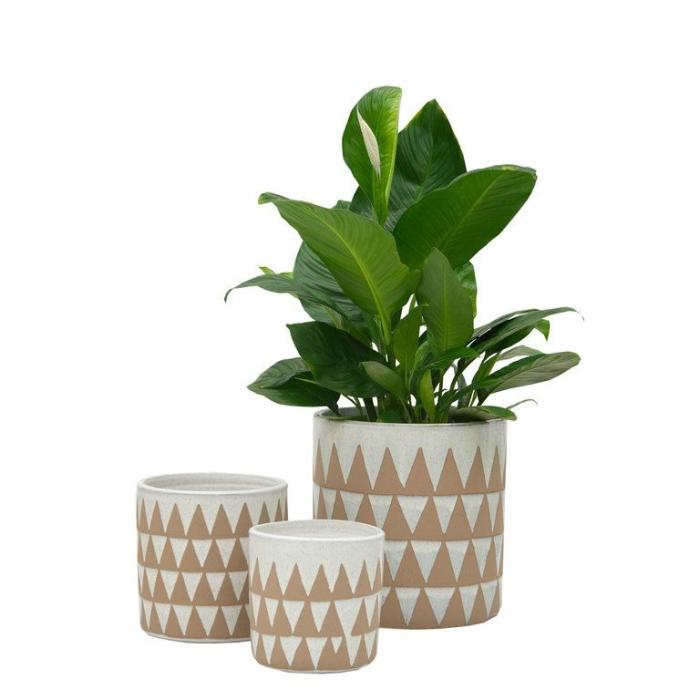 Indoor Pots | Bonita Planter Indoor Pots Indoor Pots