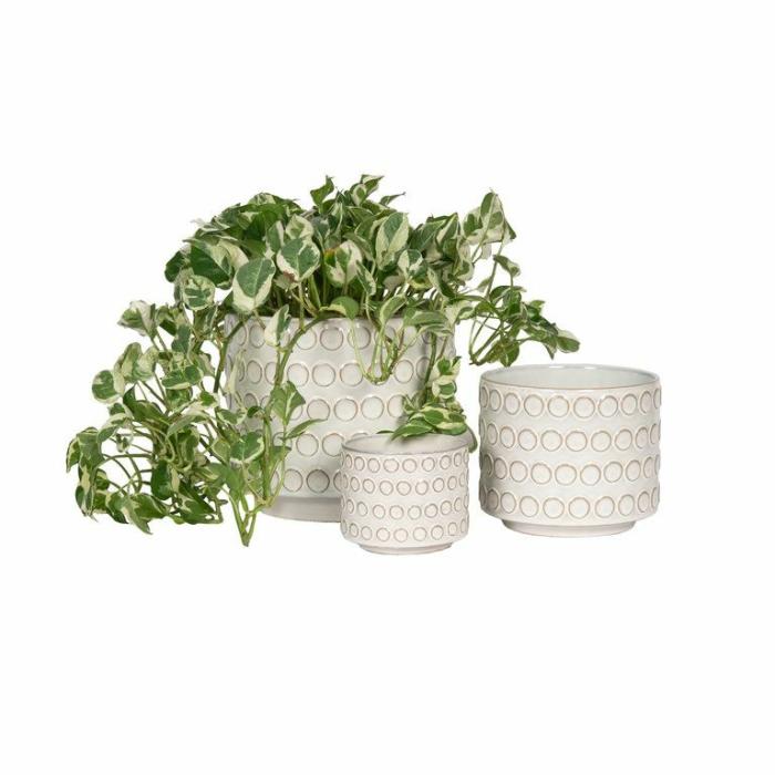 Indoor Pots | Circulo Planter Indoor Pots Grey