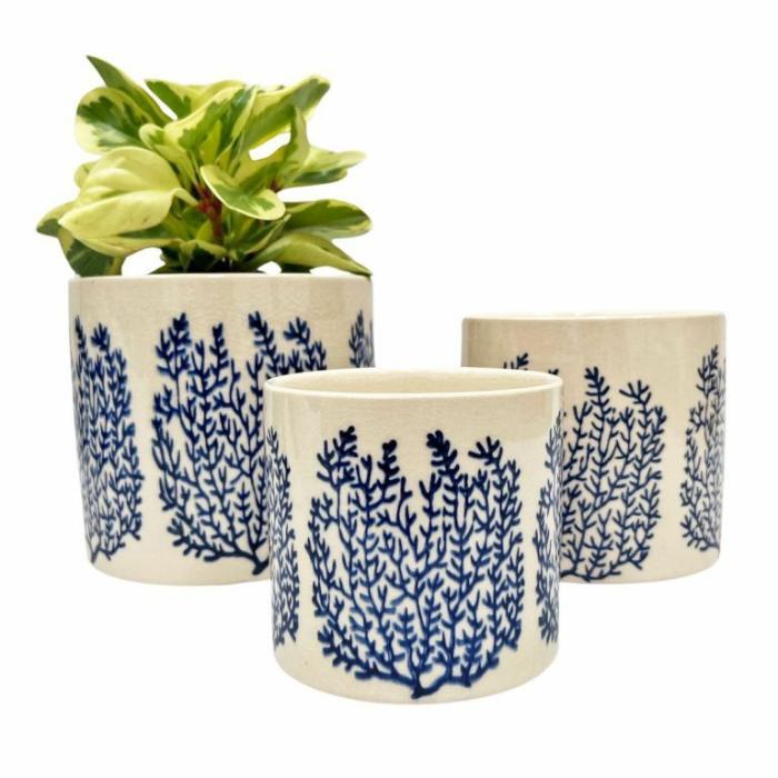 Indoor Pots | Coral Planter Blue Indoor Pots Indoor Pots