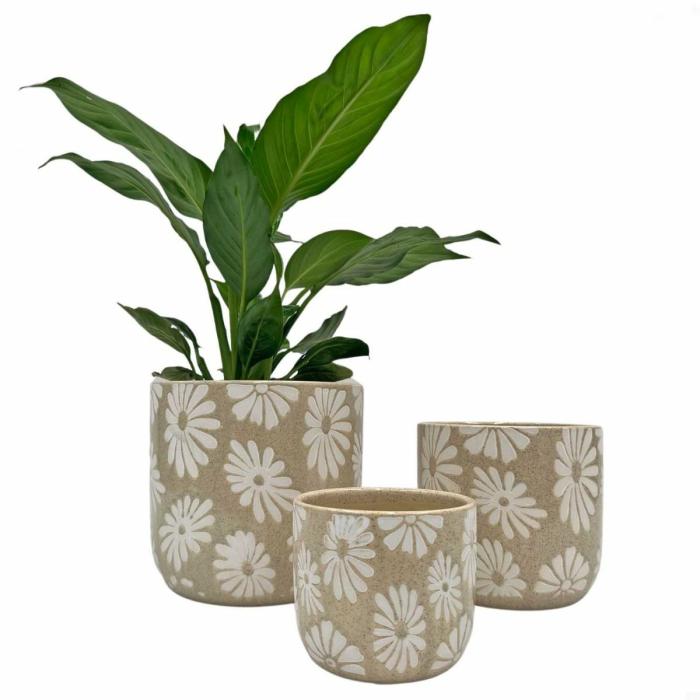 Indoor Pots | Daisy Planter Cream Indoor Pots Indoor Pots