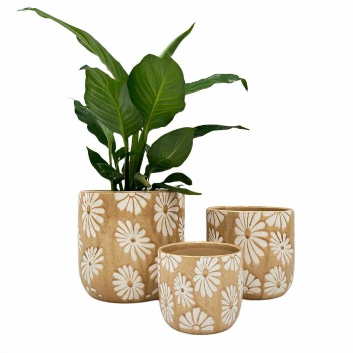 Indoor Pots | Daisy Planter Honey Indoor Pots Indoor Pots