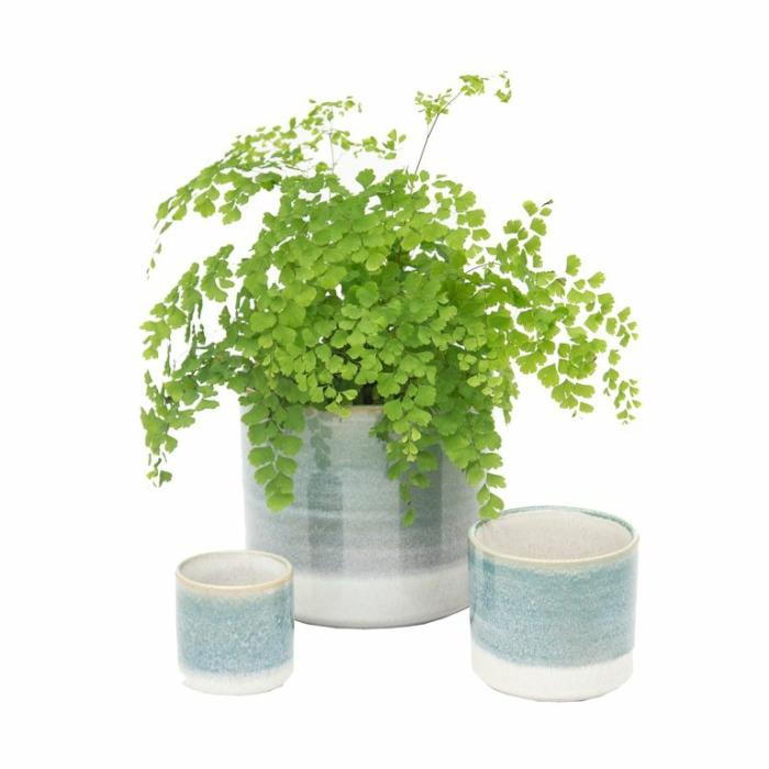 Indoor Pots | Ethan Planter Blue Indoor Pots Blue