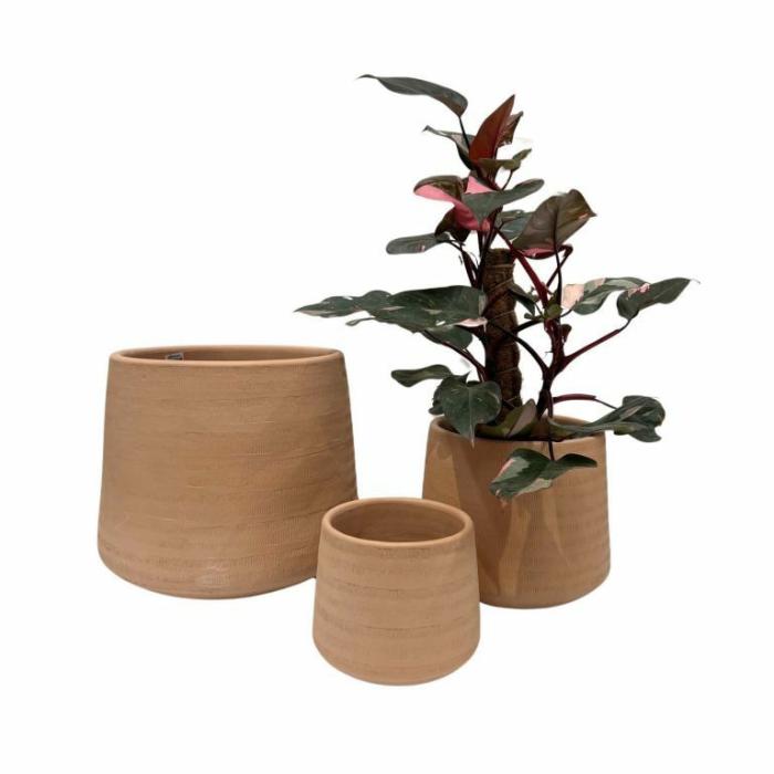 Indoor Pots | Inca Planter Terracotta Indoor Pots Indoor Pots