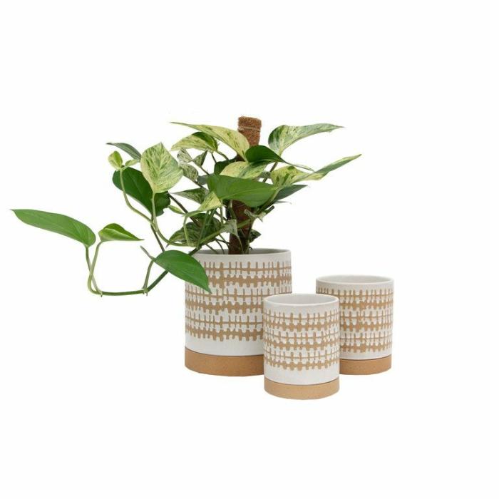 Indoor Pots | Jasper Planter White Indoor Pots Indoor Pots