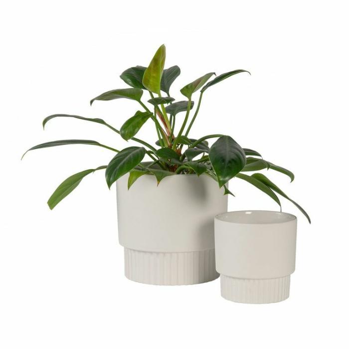 Indoor Pots | La Linea Planter White Indoor Pots Indoor Pots