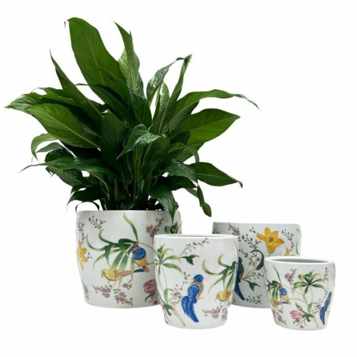 Indoor Pots | Liu Oriental Planter Indoor Pots Indoor Pots