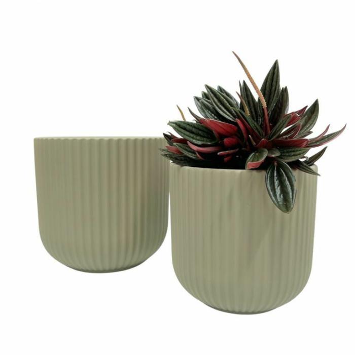 Indoor Pots | Luz Ribbed Pot Sage Indoor Pots Indoor Pots