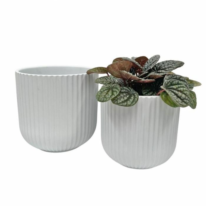 Indoor Pots | Luz Ribbed Pot White Indoor Pots Indoor Pots