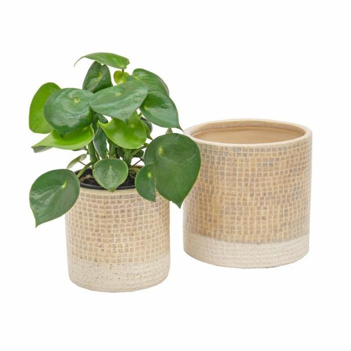 Indoor Pots | Montana Planter Indoor Pots Beige