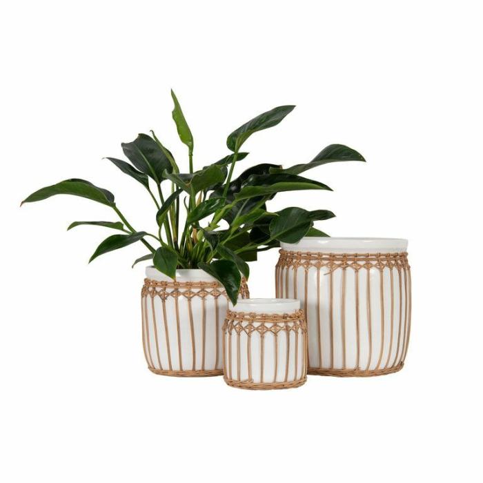 Indoor Pots | Pacific Bay Planter Indoor Pots Indoor Pots