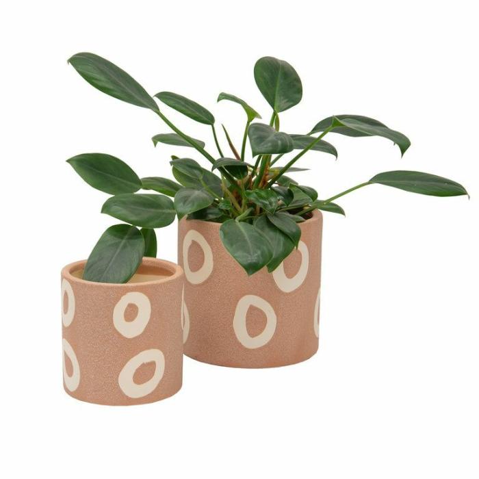 Indoor Pots | Phoenix Planter Indoor Pots Indoor Pots