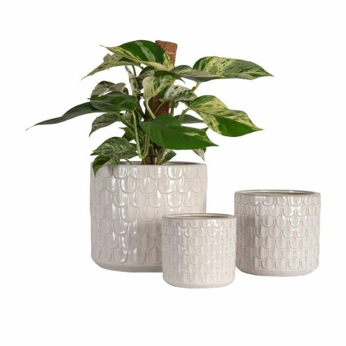 Indoor Pots | Planter Cervinia Indoor Pots Indoor Pots