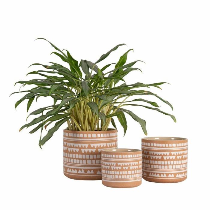 Indoor Pots | Planter Cortona Clay Indoor Pots Clay