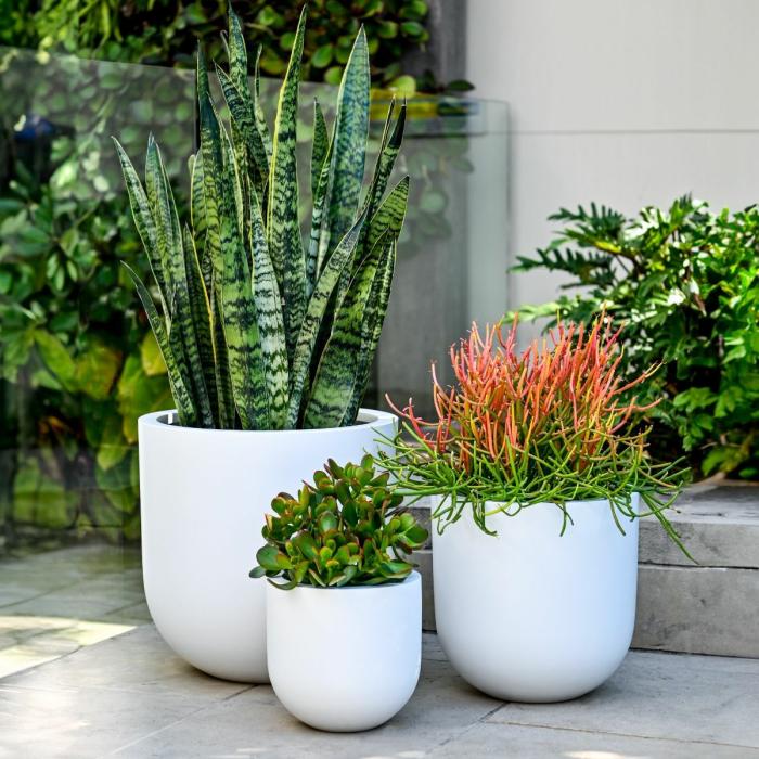 Indoor Pots | Planter White Indoor Pots Indoor Pots