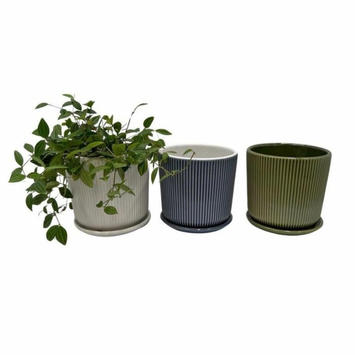 Indoor Pots | Ribbed Planter Indoor Pots Indoor Pots