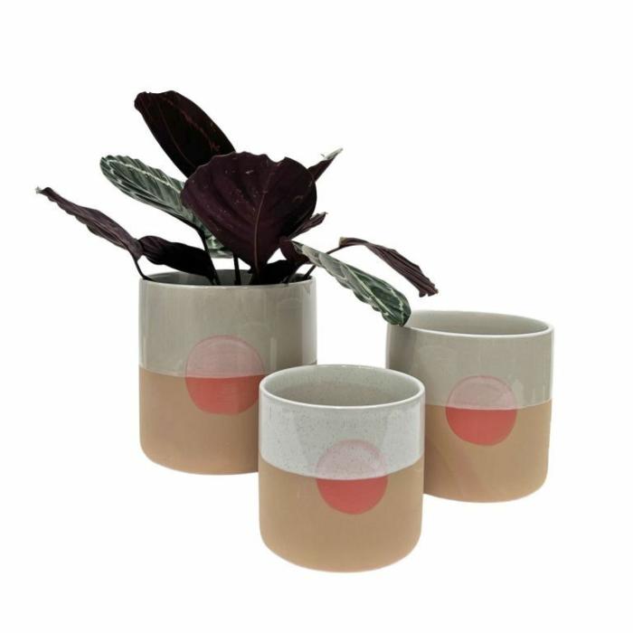 Indoor Pots | San Lucas Planter Indoor Pots Indoor Pots