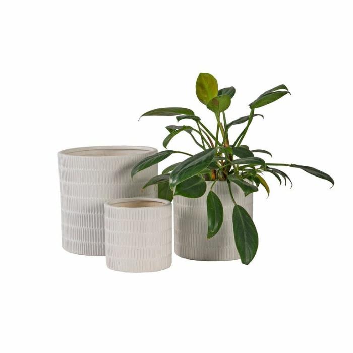 Indoor Pots | Tayla Planter White Indoor Pots Indoor Pots