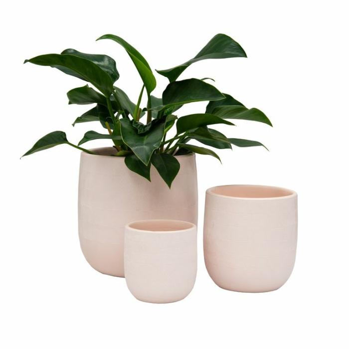 Indoor Pots | Taylor Planter Blush Indoor Pots Blush