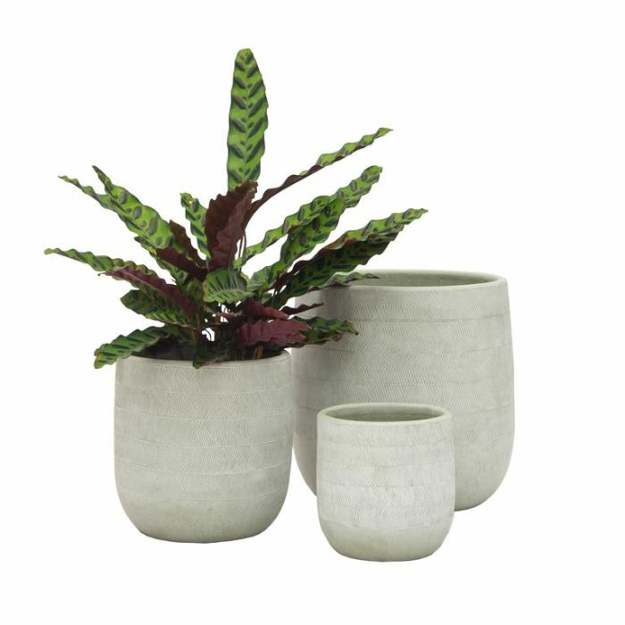 Indoor Pots | Taylor Planter Grey Indoor Pots Grey