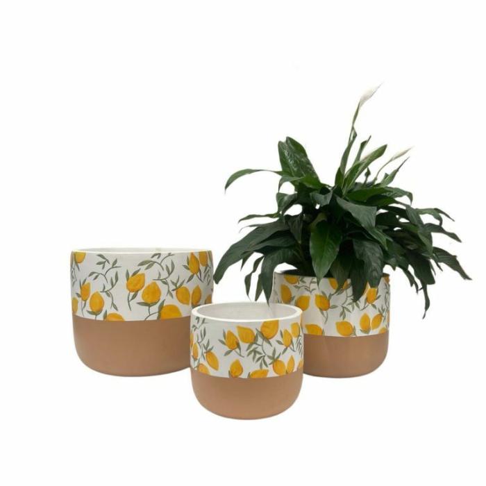 Indoor Pots | Tuscany Planter Indoor Pots Indoor Pots