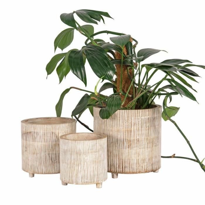 Indoor Pots | Whitehaven Timber Planter Indoor Pots Indoor Pots