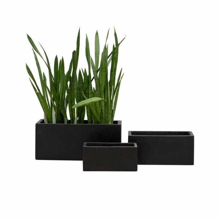 Outdoor Pots | Cement Trough Black Outdoor Pots Black