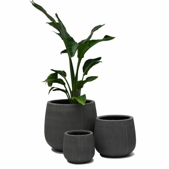 Outdoor Pots | Drum Pot Grey Outdoor Pots Grey