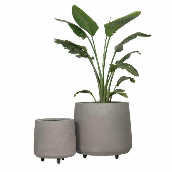 Outdoor Pots | Planter With Castor Grey Outdoor Pots Grey