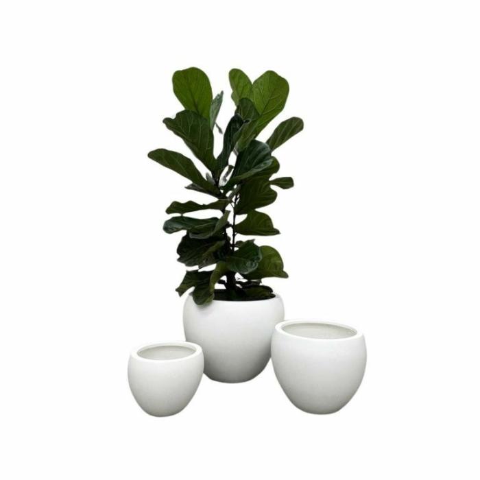 Outdoor Pots | Round Pot White Outdoor Pots Outdoor Pots