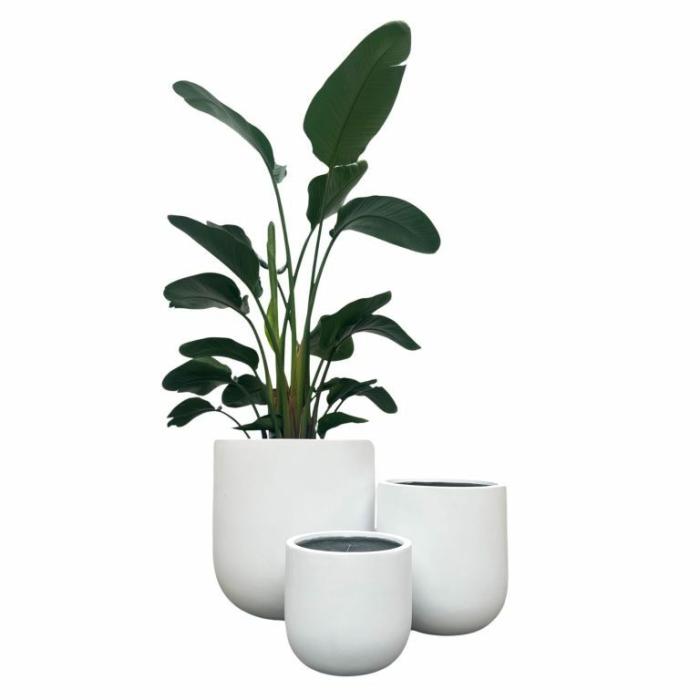 Outdoor Pots | Tall Drum Pot White Outdoor Pots Outdoor Pots