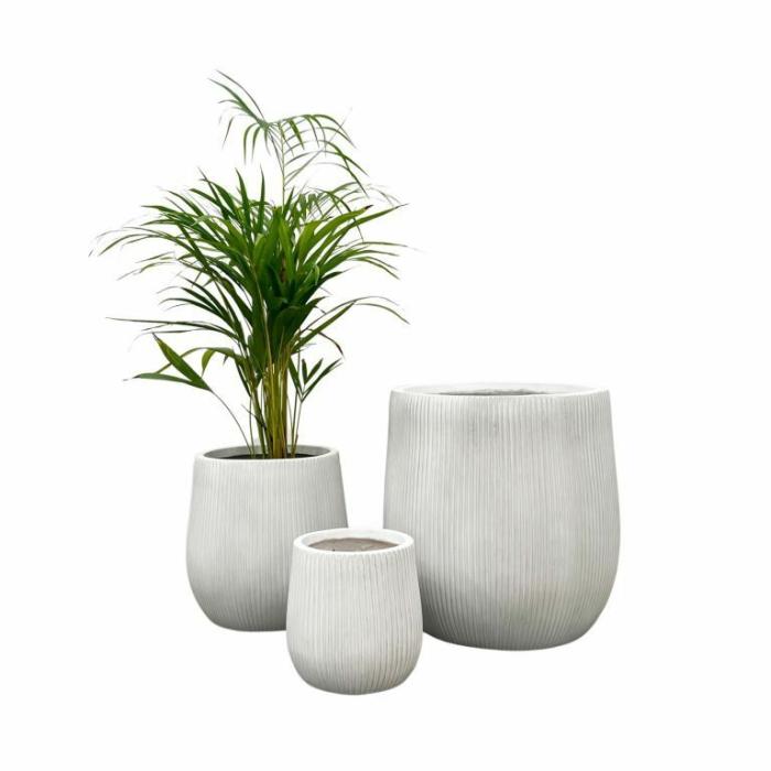 Outdoor Pots | Tall Drum Pot White Outdoor Pots Outdoor Pots