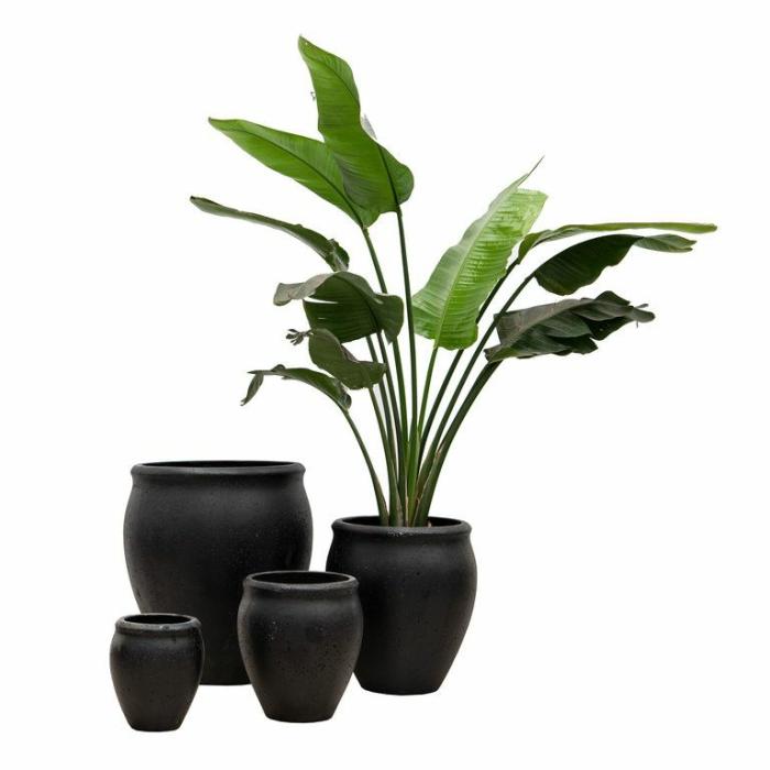 Outdoor Pots | Urn Black Outdoor Pots Black