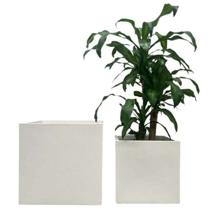 Plastic Pots | Millennium Cube Pot Pearl Plastic Pots Pearl