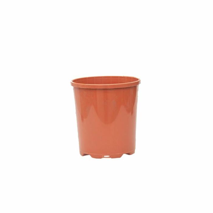 Plastic Pots | Pot Standard Terracotta Plastic Pots Plastic Pots