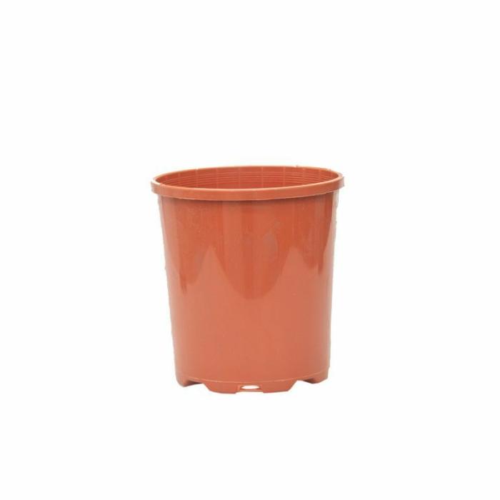 Plastic Pots | Pot Standard Terracotta Plastic Pots Plastic Pots