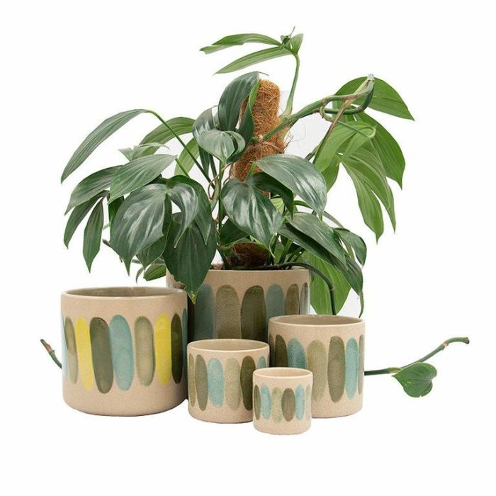 Indoor Pots | Artisan Planter Olive Indoor Pots Indoor Pots