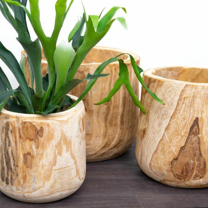 Indoor Pots | Driftwood Timber Planter Indoor Pots Indoor Pots